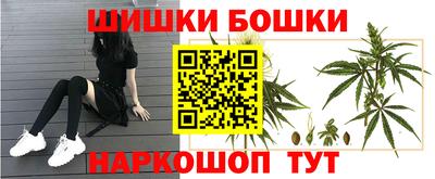 спиды Новодвинск
