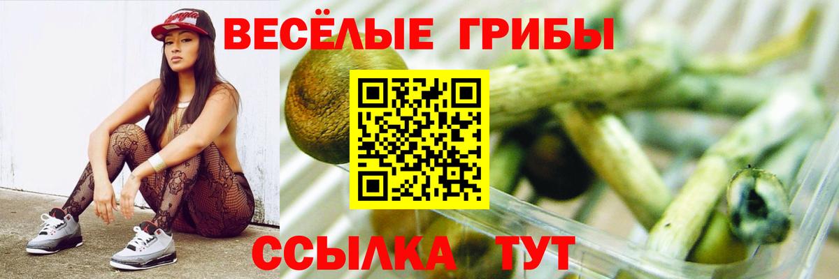 Владимир  Псилоцибиновые грибы Psilocybine cubensis  Вход с VPN 
